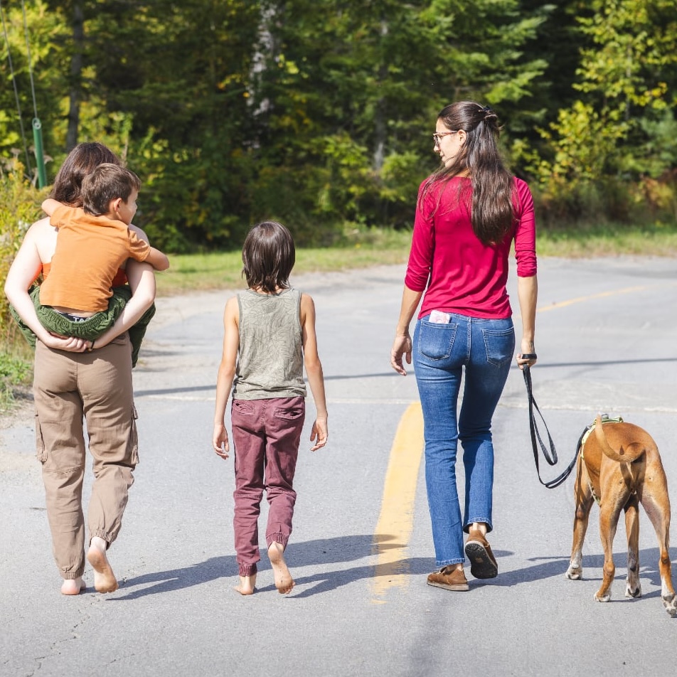 Vue de dos de quatre personnes et un chien marchant ensemble sur une route asphaltée marquée d'une ligne jaune continue. Les deux personnes de gauche et un enfant marchent pieds nus. L'une porte un enfant sur son dos. La quatrième personne, à droite, porte un haut magenta, un jean et des chaussures, et tient en laisse un chien brun court sur pattes. L'arrière-plan est constitué d'une forêt dense et verte.